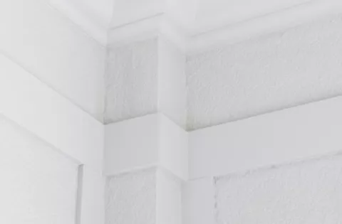 Bohemia_Decor_Stropni_listy_Orac_Decor