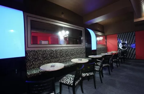 Bohemia_Decor_Reference_Music_Club_Cavalli