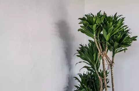 Malířské práce v Kácově I Bohemia Decor