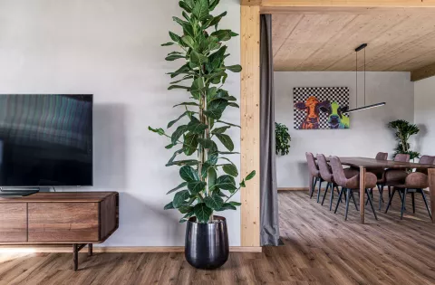 Malířské práce v Kácově I Bohemia Decor